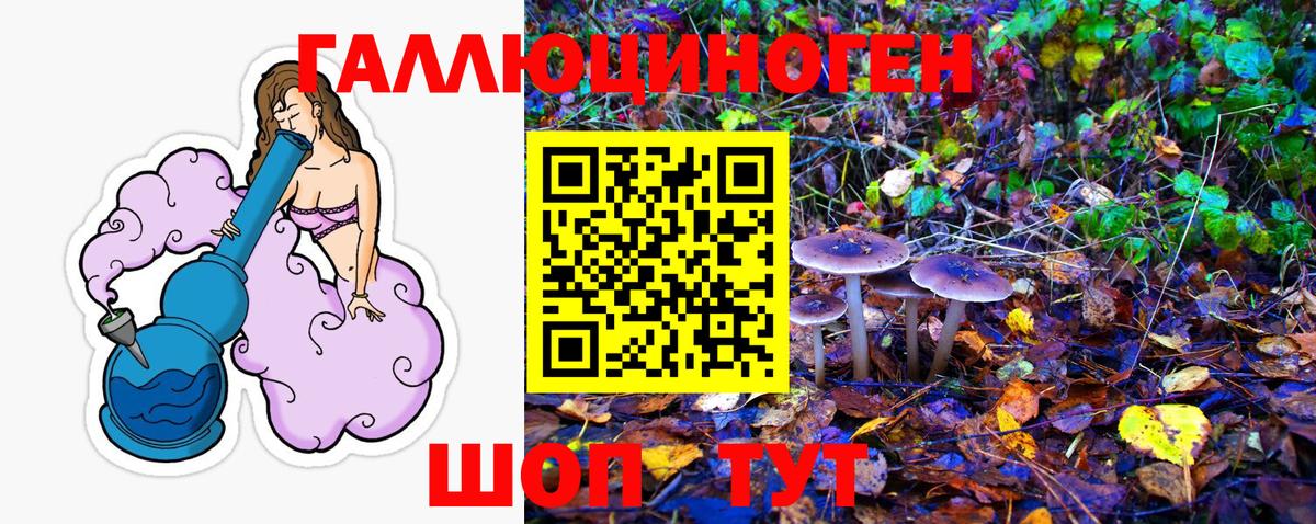 Вышний Волочёк  Галлюциногенные грибы ЛСД  Вход с VPN 