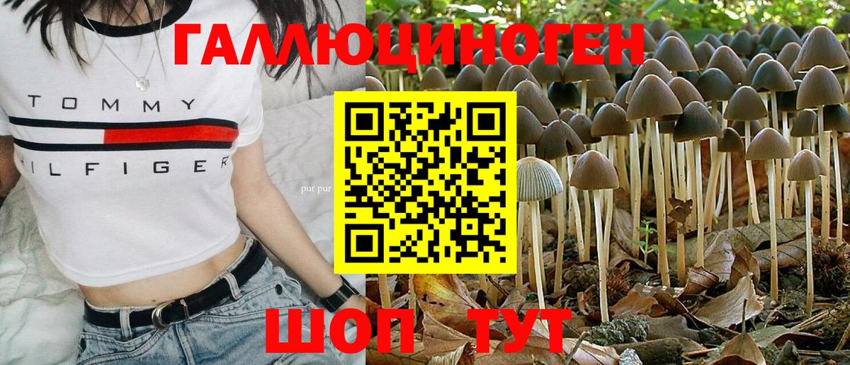 Псилоцибиновые грибы прущие грибы Вышний Волочёк